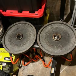 Two 45 Pound Plates 