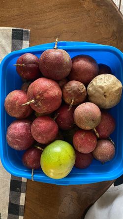 Passion Fruit 12$ all