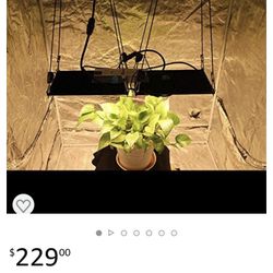 Grow Light 