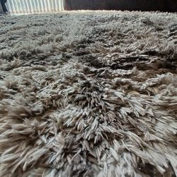 Multi-Colored Area Rug