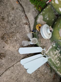 🌀 2024 Harbor Breeze White Ceiling Fan w/ 4 Built-In Lights 💡