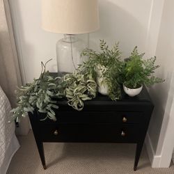 Fake Plants 