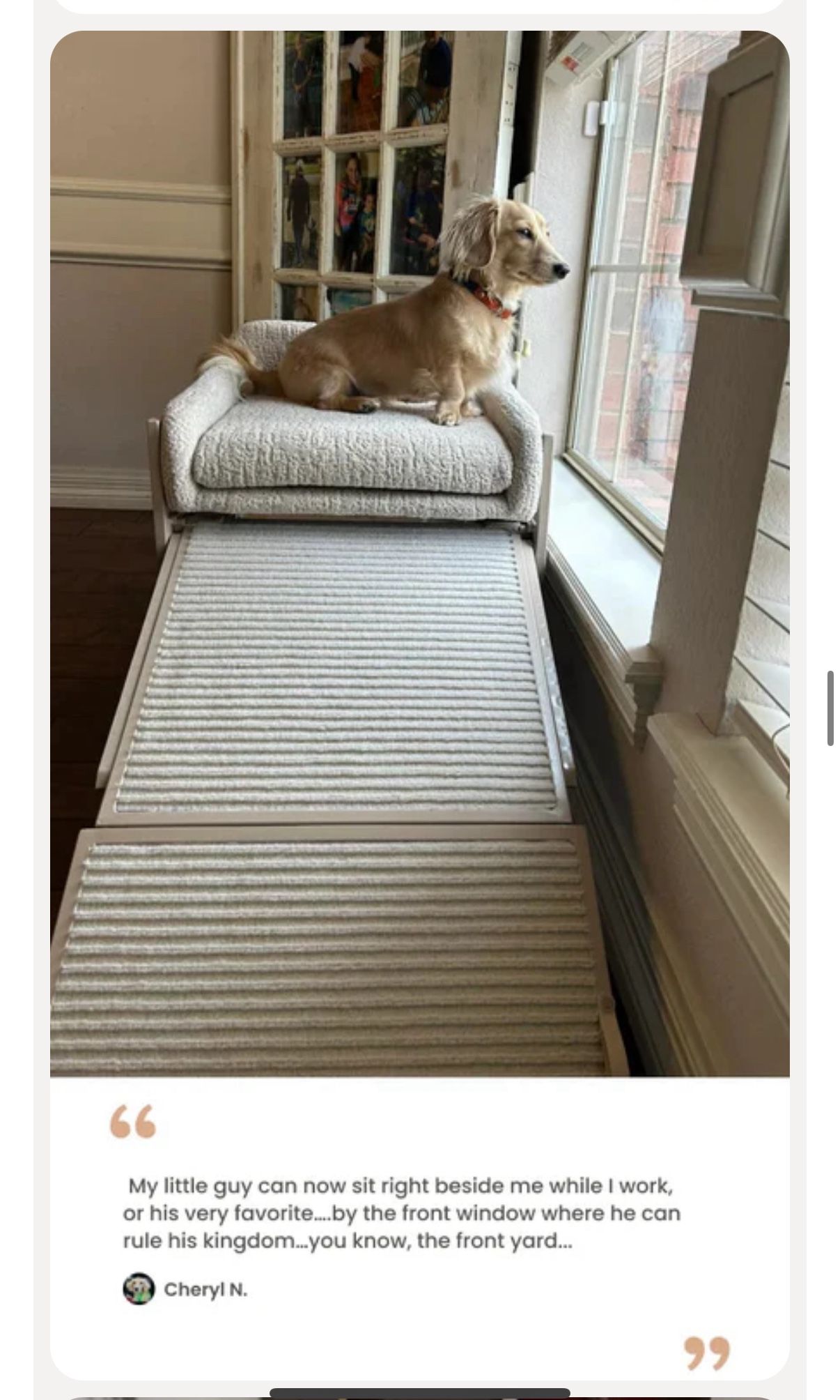 Pet Office Chair “Seat Mate” - Like New!