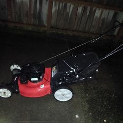 Briggs And Stratton Push Mower With Bag