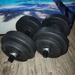 25lbs Dumbbells 