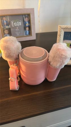Karaoke speaker
