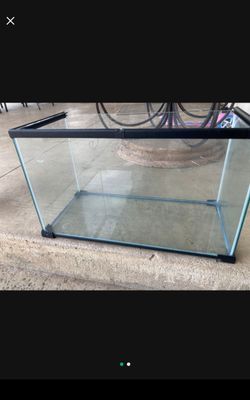 10 Gallon Reptile Tank 