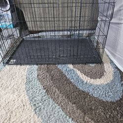 Dog Cage