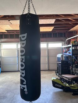 Proforce punching bag