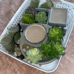 Scentsy Soy-CuteLent Wax Warmer Bundle Rare HTF