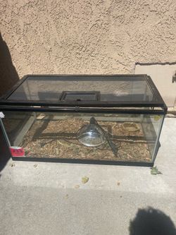 Reptile tank