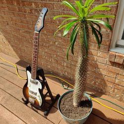 Teisco Audition Electric Guitar