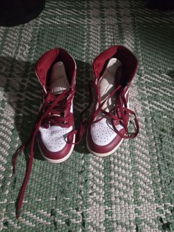 Air Jordan 1 mids