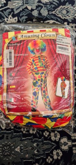 Clown costume with wig