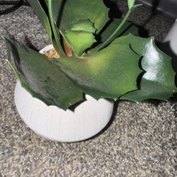 Fake Plant 