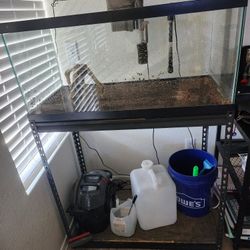 40b Tank With Led Light, Filter, Heater And Stand