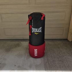 2 Punching Bags (Feel free to send offer)