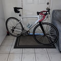 Sports Cyclist