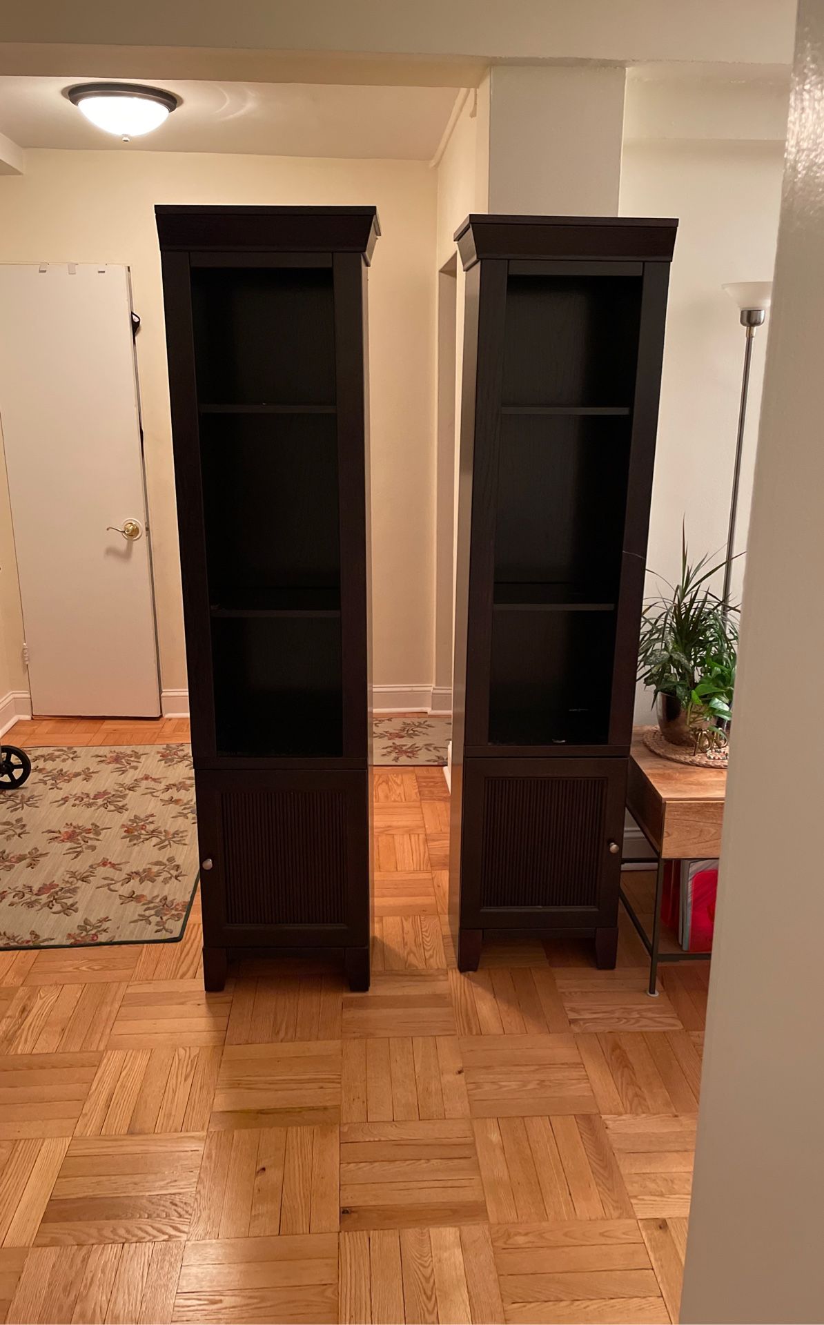 Bookshelves Two Separate Pieces