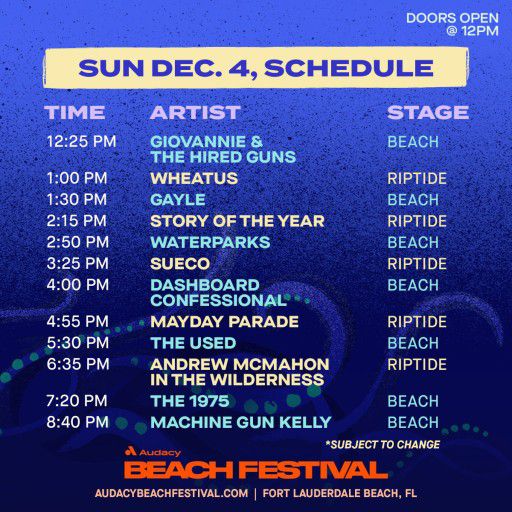 Audacy Beach Festival  1 ticket Sunday VIP 