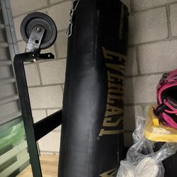 Everlast Punching Bag 