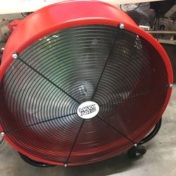 Fan 