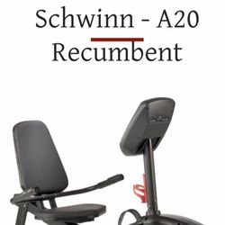 schwinn Recumbent Exercise Bike