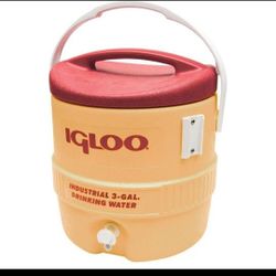 Igloo Cooler