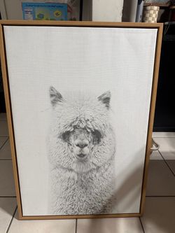 Framed Alpaca Canvas Wall Art
