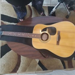 Mitchel Accoustic Guitar and Soft Case