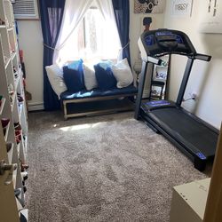 Horizon Fitness T101  Foldable Treadmill