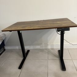 Electrical Hybrid Desk Standing Sitting