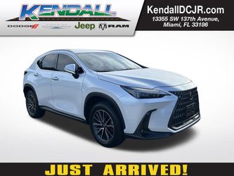 2025 Lexus NX 250