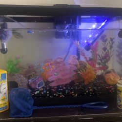 10 Gallon Fish Tank Everything Included