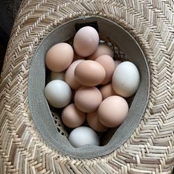 Farm fresh eggs $3.99 +.01cents Per Dozen
