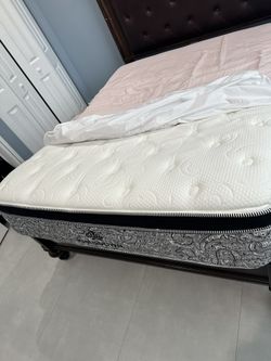Queen Plush And Clean Mattress