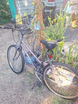26 inch magna bike