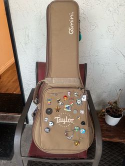 Taylor GS mini case