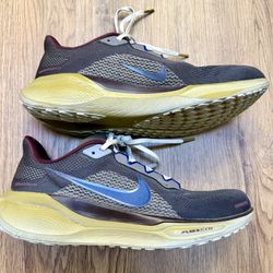 Nike Pegasus 41 Size 9