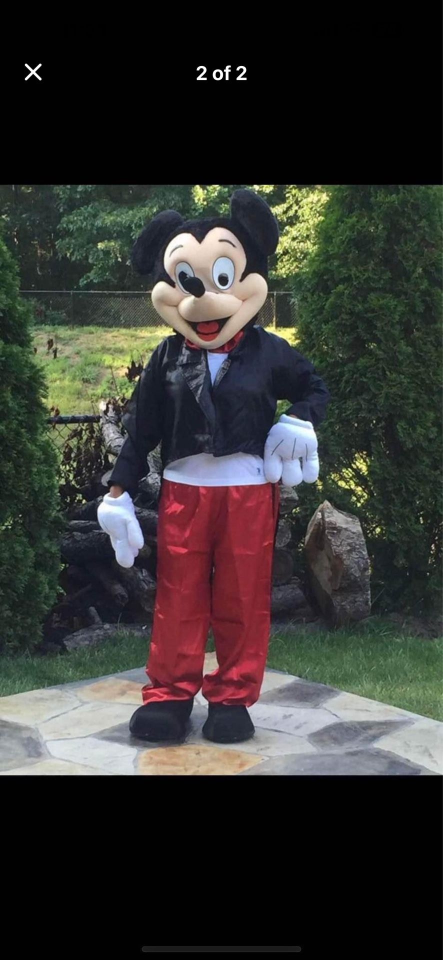 Have Two Adult Costumes mickey and minnie