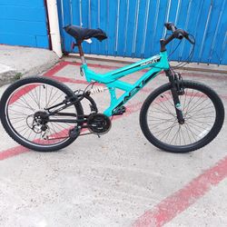 24 Inch Next Gauntlet Mountain Bike 
