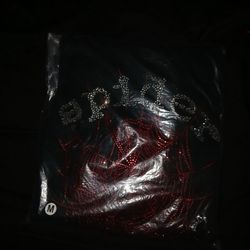 Black Rhinestone Sp5der Hoodie 
