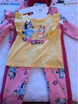 Bluey outfit