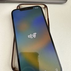 iPhone 12 Max Pro