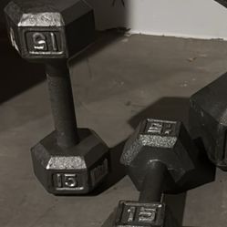 15 Pound Gray Cast Iron Solid Hexagon Dumbbells
