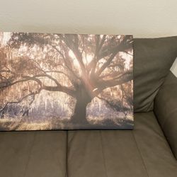 Big Tree Canvas Wall Art 