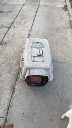 Travel pet carrier