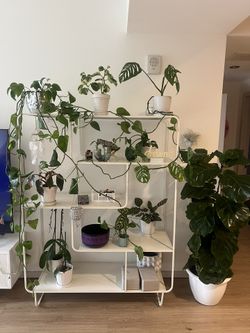 UO Large Alana Bookshelf