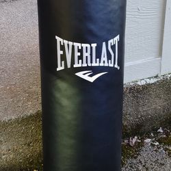 Everlast Heavy Punching Bag $40