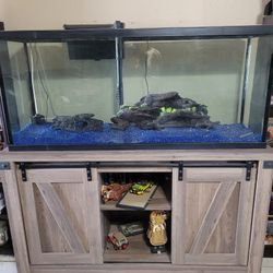 45 Gallon Fish Tank And Stand